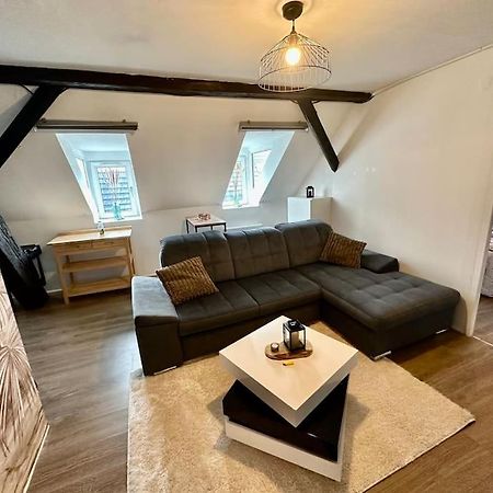 Logement Entier Au Coeur De Strasburg Zewnętrze zdjęcie