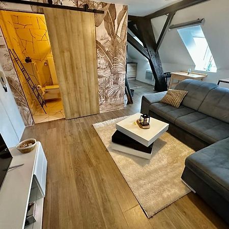 Logement Entier Au Coeur De Strasburg Zewnętrze zdjęcie